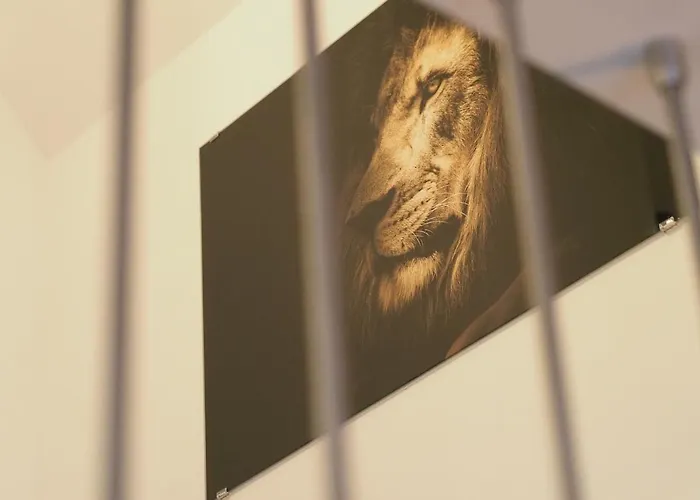 펜션 Dom Pod Gorami Sosnówka